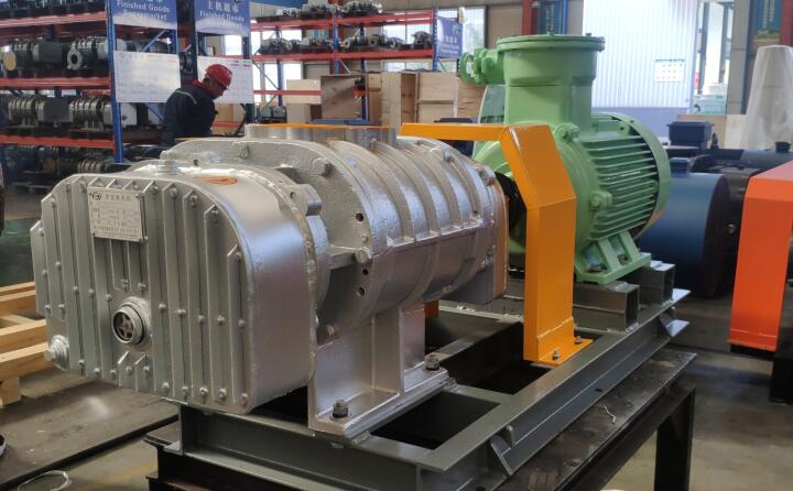 羅茨鼓風(fēng)機